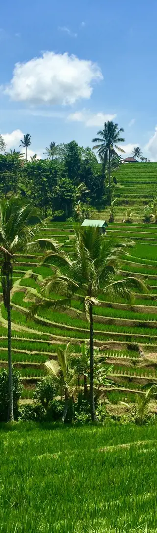 Bali -Jatiluwah